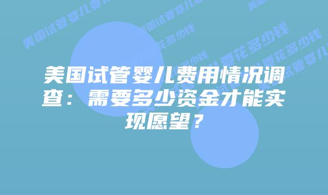 美国试管婴儿费用情况调查：需要多少资金才能实现愿望？