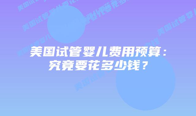 美国试管婴儿费用预算:究竟要花多少钱?