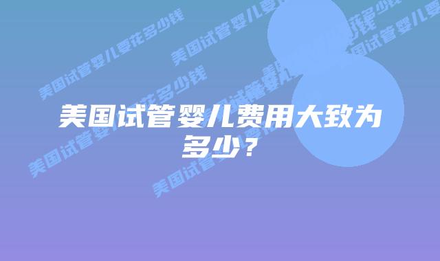 美国试管婴儿费用大致为多少?