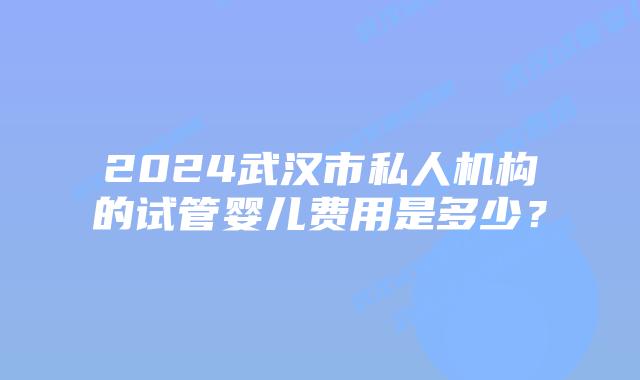 2024武汉市私人机构的试管婴儿费用是多少?