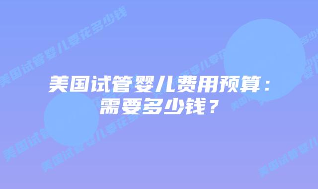 美国试管婴儿费用预算：需要多少钱？