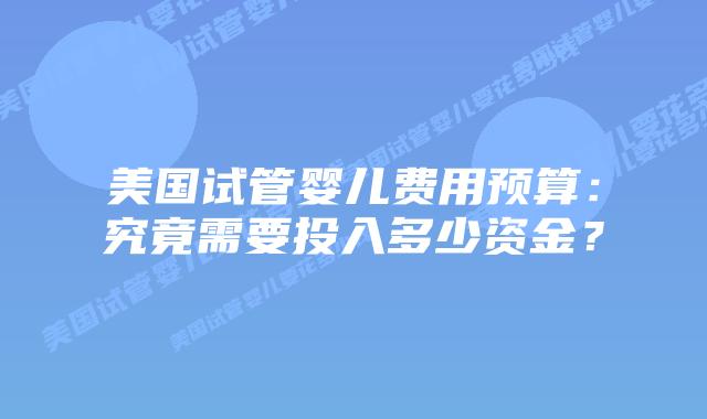 美国试管婴儿费用预算：究竟需要投入多少资金？