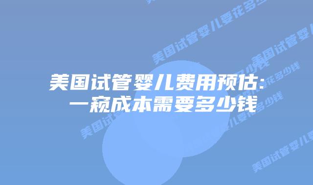 美国试管婴儿费用预估: 一窥成本需要多少钱