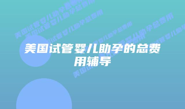 美国试管婴儿助孕的总费用辅导
