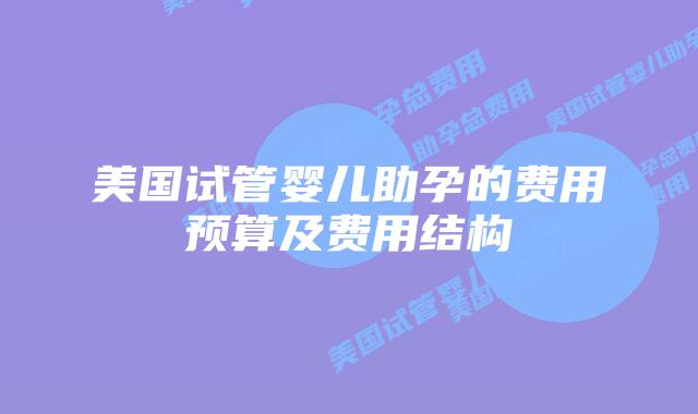 美国试管婴儿助孕的费用预算及费用结构