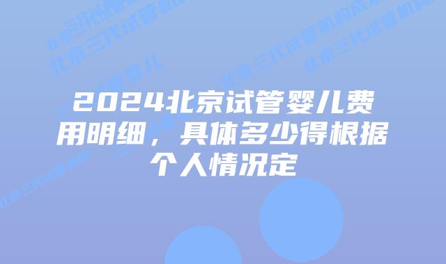 2024北京试管婴儿费用明细，具体多少得根据个人情况定