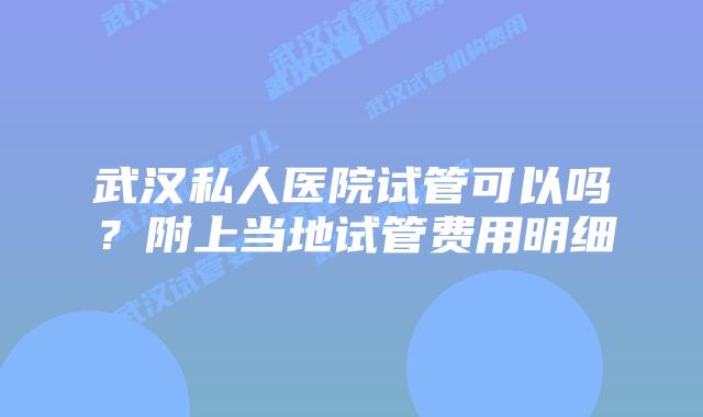 武汉私人医院试管可以吗？附上当地试管费用明细