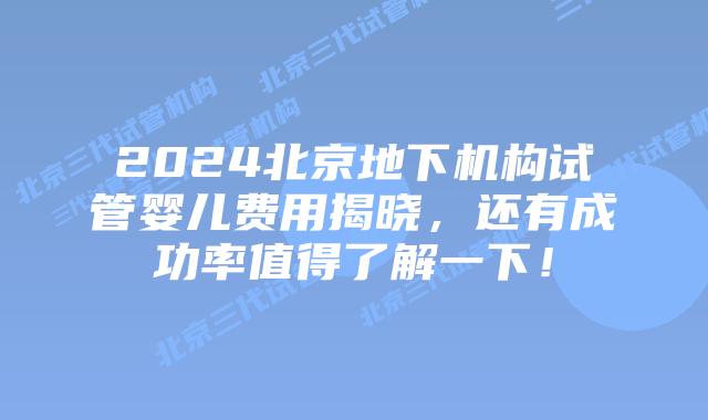 2024北京地下机构试管婴儿费用揭晓,还有成功率值得了解一下!