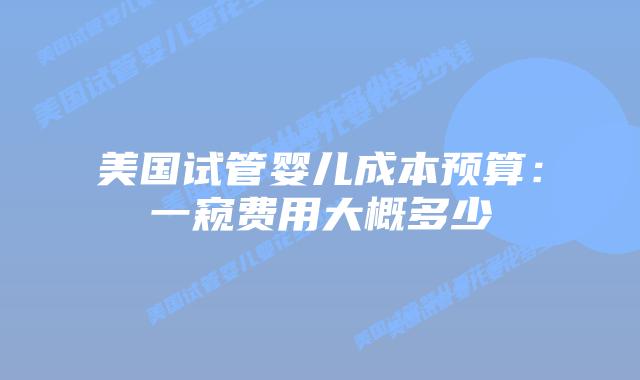 美国试管婴儿成本预算：一窥费用大概多少
