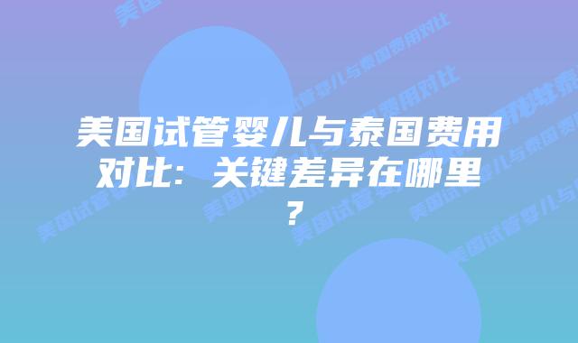 美国试管婴儿与泰国费用对比: 关键差异在哪里？