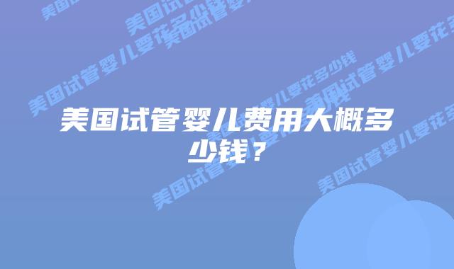 美国试管婴儿费用大概多少钱？