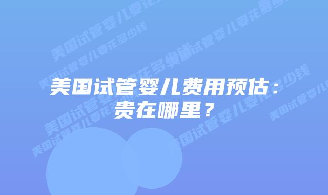 美国试管婴儿费用预估:贵在哪里?