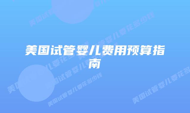 美国试管婴儿费用预算指南