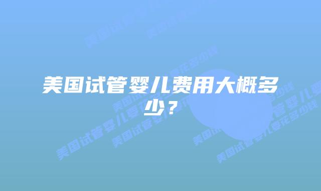 美国试管婴儿费用大概多少？