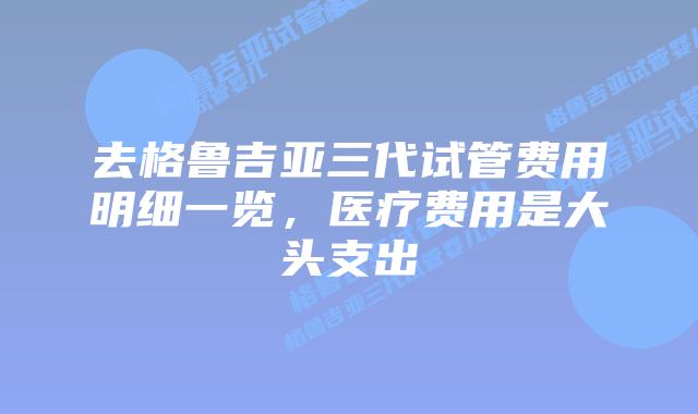 去格鲁吉亚三代试管费用明细一览，医疗费用是大头支出