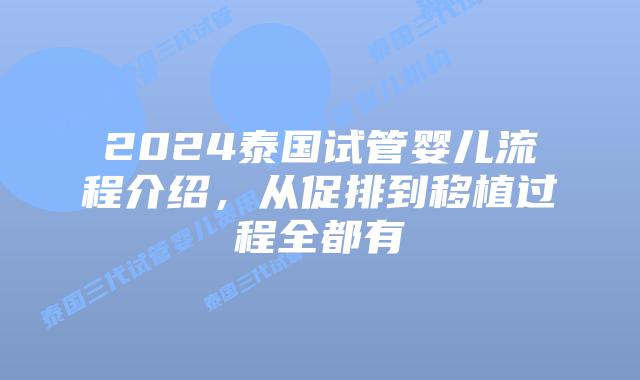 2024泰国试管婴儿流程介绍，从促排到移植过程全都有