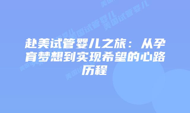 赴美试管婴儿之旅:从孕育梦想到实现希望的心路历程