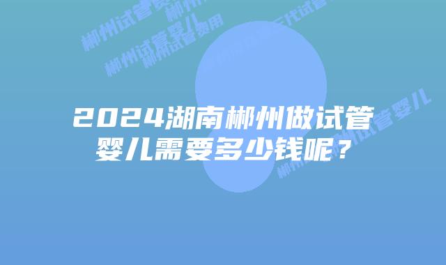2024湖南郴州做试管婴儿需要多少钱呢？