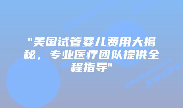 “美国试管婴儿费用大揭秘，专业医疗团队提供全程指导”