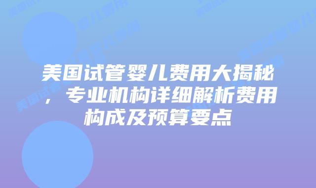 美国试管婴儿费用大揭秘,专业机构详细解析费用构成及预算要点