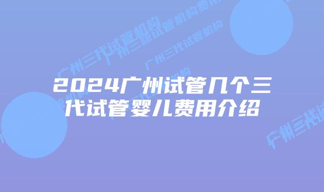 2024广州试管几个三代试管婴儿费用介绍
