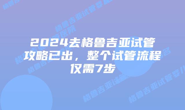 2024去格鲁吉亚试管攻略已出,整个试管流程仅需7步