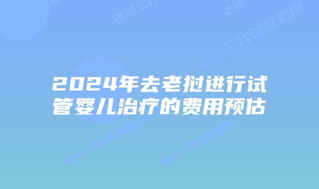 2024年去老挝进行试管婴儿治疗的费用预估