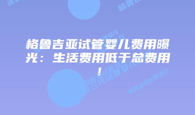 格鲁吉亚试管婴儿费用曝光：生活费用低于总费用！