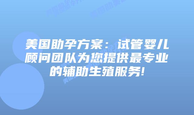 美国助孕方案：试管婴儿顾问团队为您提供最专业的辅助生殖服务!