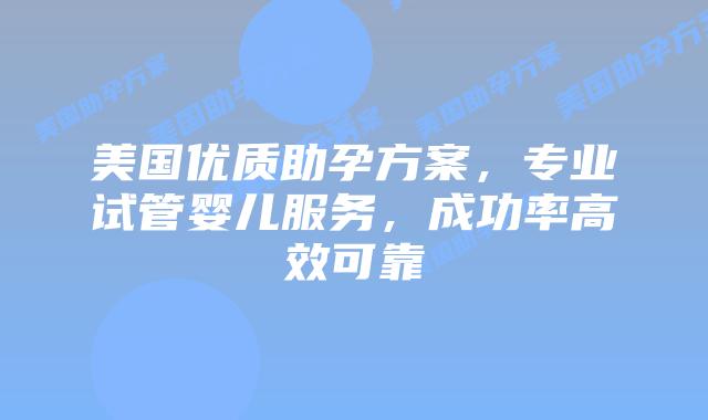 美国优质助孕方案,专业试管婴儿服务,成功率高效可靠