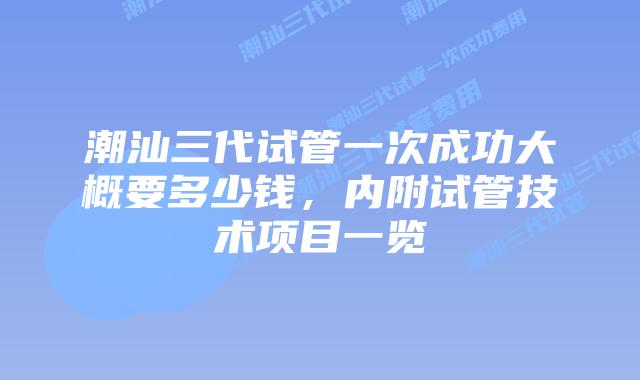 潮汕三代试管一次成功大概要多少钱，内附试管技术项目一览
