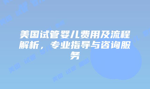 美国试管婴儿费用及流程解析,专业指导与咨询服务
