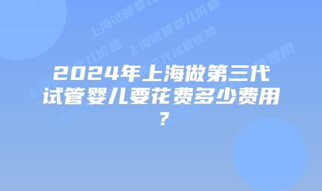 2024年上海做第三代试管婴儿要花费多少费用？