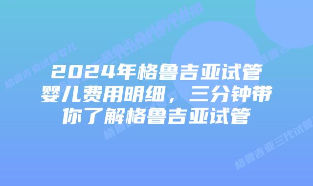 2024年格鲁吉亚试管婴儿费用明细，三分钟带你了解格鲁吉亚试管