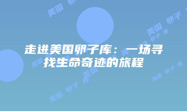 走进美国卵子库：一场寻找生命奇迹的旅程