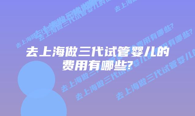 去上海做三代试管婴儿的费用有哪些?