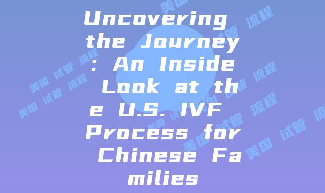 Uncovering the Journey: An Inside Look at the U.S. IVF Process for Chinese Families