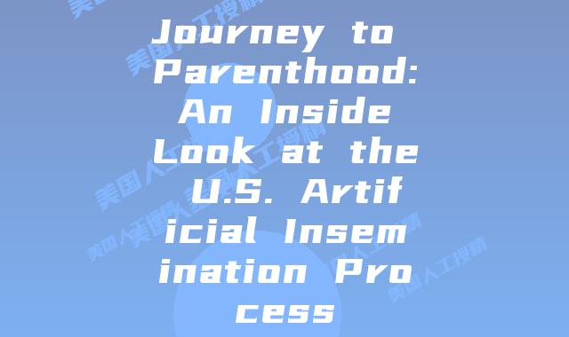 Journey to Parenthood: An Inside Look at the U.S. Artificial Insemination Process