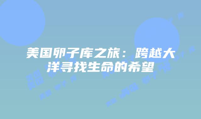 美国卵子库之旅:跨越大洋寻找生命的希望