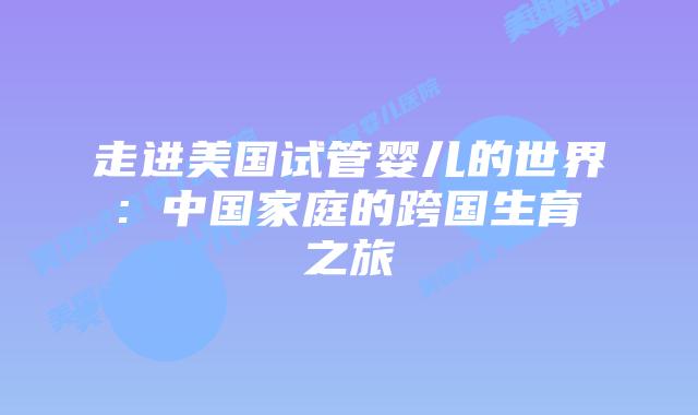 走进美国试管婴儿的世界: 中国家庭的跨国生育之旅