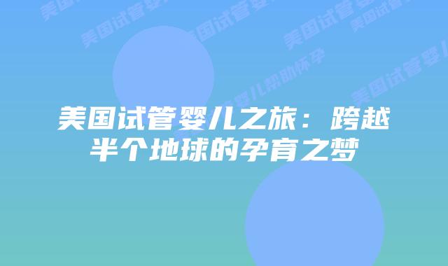 美国试管婴儿之旅：跨越半个地球的孕育之梦