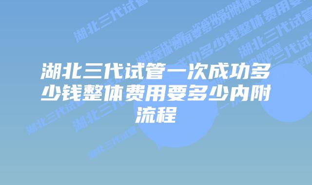 湖北三代试管一次成功多少钱整体费用要多少内附流程