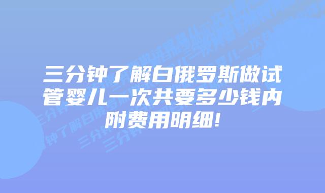 三分钟了解白俄罗斯做试管婴儿一次共要多少钱内附费用明细!