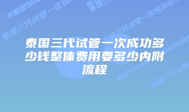 泰国三代试管一次成功多少钱整体费用要多少内附流程