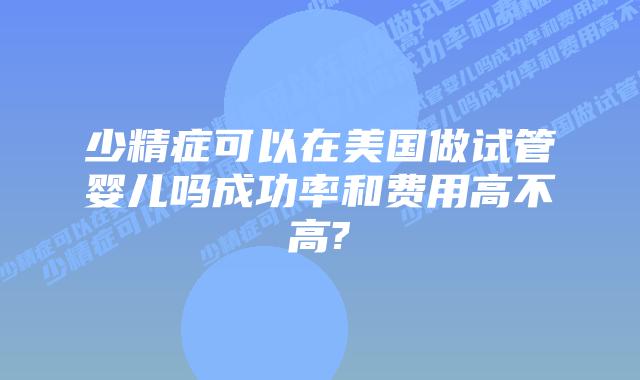 少精症可以在美国做试管婴儿吗成功率和费用高不高?
