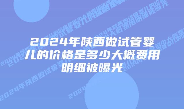 2024年陕西做试管婴儿的价格是多少大概费用明细被曝光