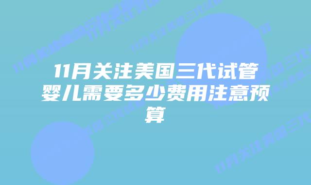 11月关注美国三代试管婴儿需要多少费用注意预算