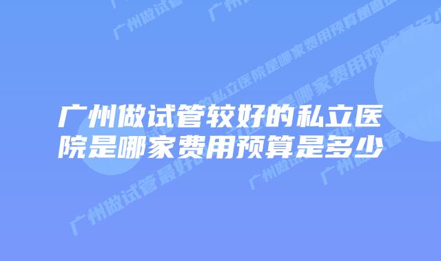 广州做试管较好的私立医院是哪家费用预算是多少