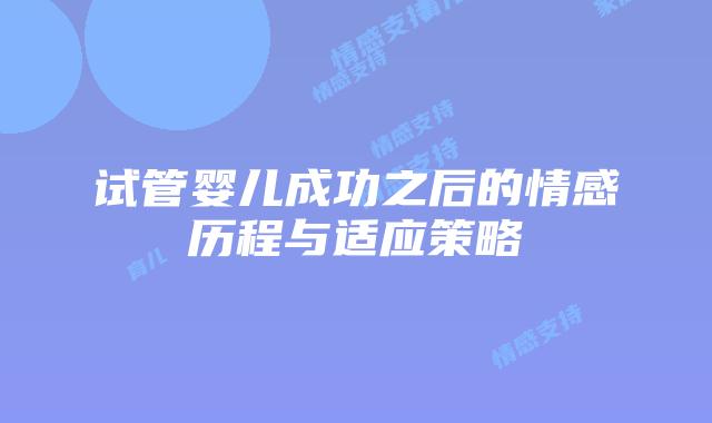 试管婴儿成功之后的情感历程与适应策略