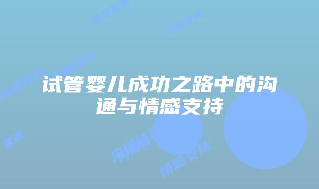 试管婴儿成功之路中的沟通与情感支持